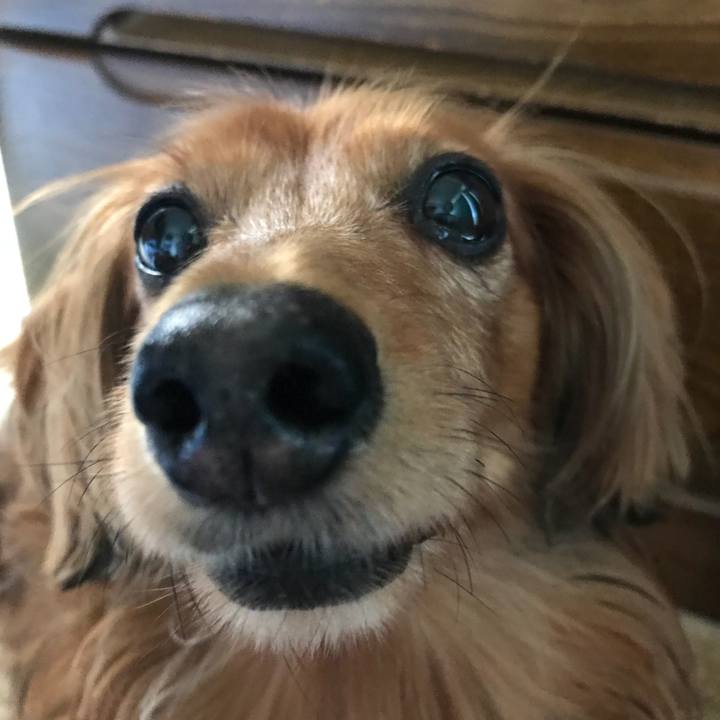 176f3f0e b8e6 4686 a712 c96892ca16e6 1536364588978