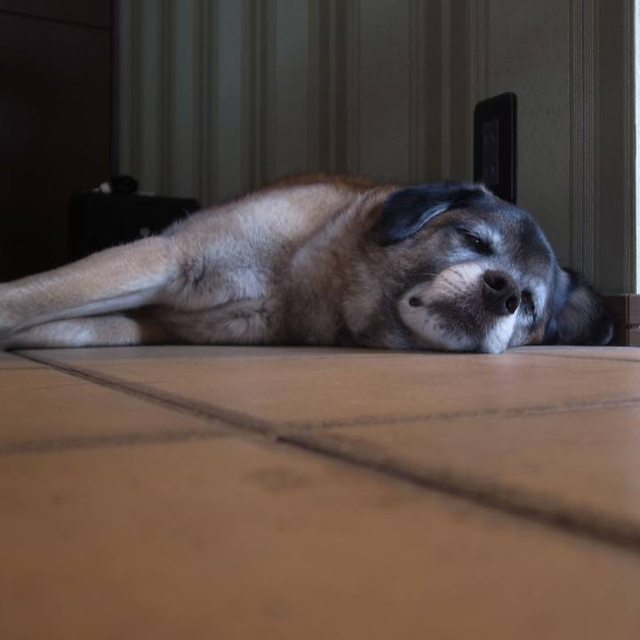 176f606a 9948 4a44 a890 bd06e9a5400a 1603844752625