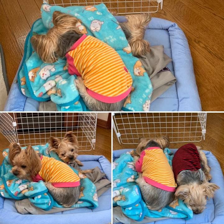 176f6399 7ecd 4b22 948e ea205652187a 1607851558872