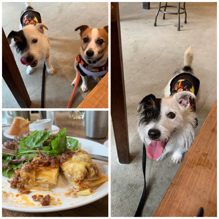 176f662d a8df 4edb 8302 0a2c3be85b13 1595481167608