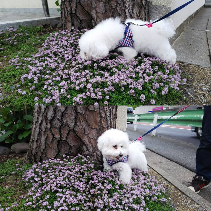 176f684e 0942 40a4 8394 b9d644d37d98 1523778602395