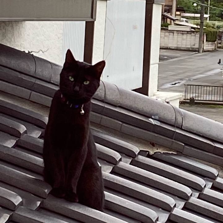 176f6f9c b0f6 4dac b90f 1113637193a4 1625007454368