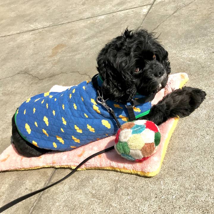 176f8177 a931 4b88 899f ed7926ec0bb4 1550891440284