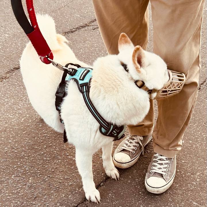 17701e19 dcd8 4708 806f b70cbd5465ab 1695855724314