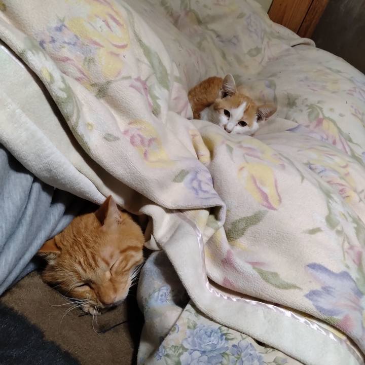 17702189 1796 487a b7ca 281e65e59691 1727180120618