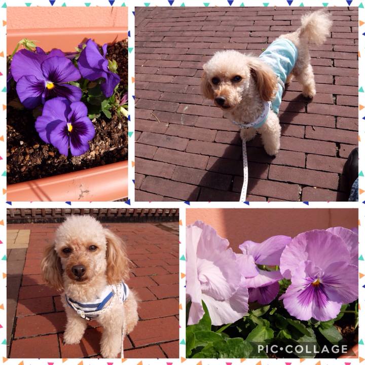 17705701 da5a 4541 863c 5fc8ca7d6f2b 1543800824418