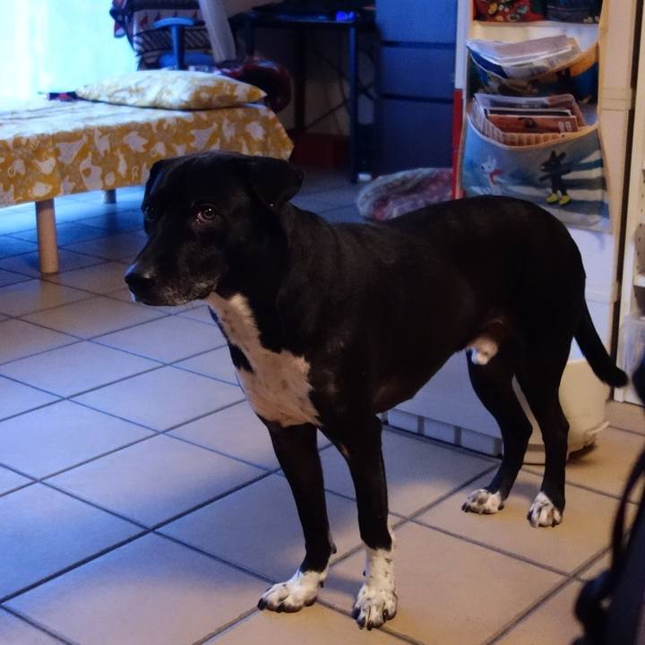 17706145 7912 4ddc accf bcf285a7800d 1642123242194