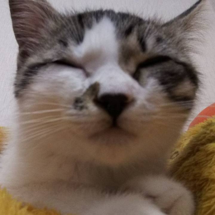 177083cf a121 47fa 9f3f bc68cc7c4f8d 1606742133156