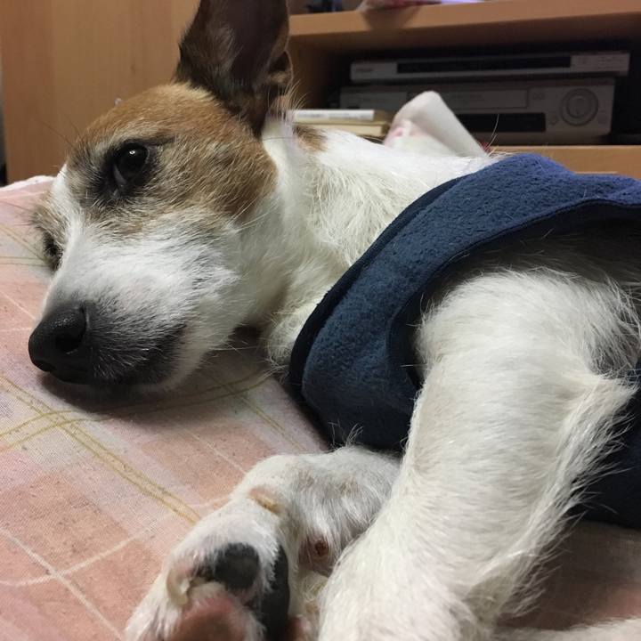 17708831 250b 49cc 9152 66e7c61d4c36 1555731920734