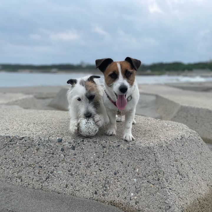 1770a0fa 225b 4521 b6e7 8bc6cb4ef74c 1719275305918