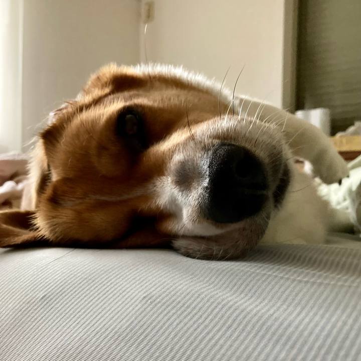 1770b23b a698 47d2 a84a 27ae480614c2 1657931738114