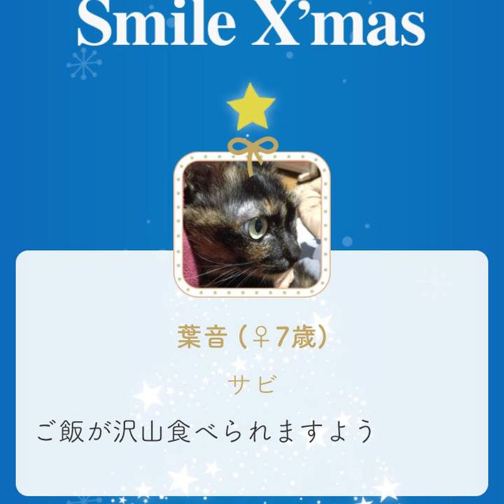 1770cc34 c785 48f1 9fce f1f8b8374b44 1544699077689