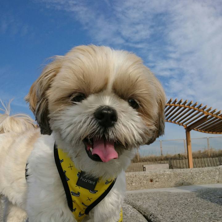 1770d916 6e73 4c03 8568 132812f1edfa 1543649346429