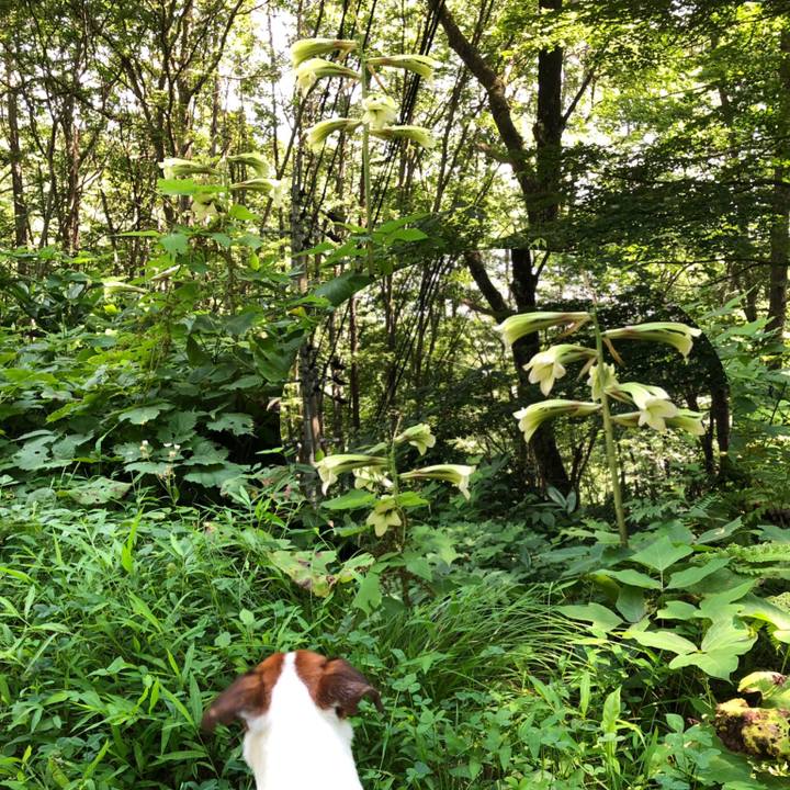 17710921 9d2f 4266 9cb5 12715cfacbb3 1565146833120