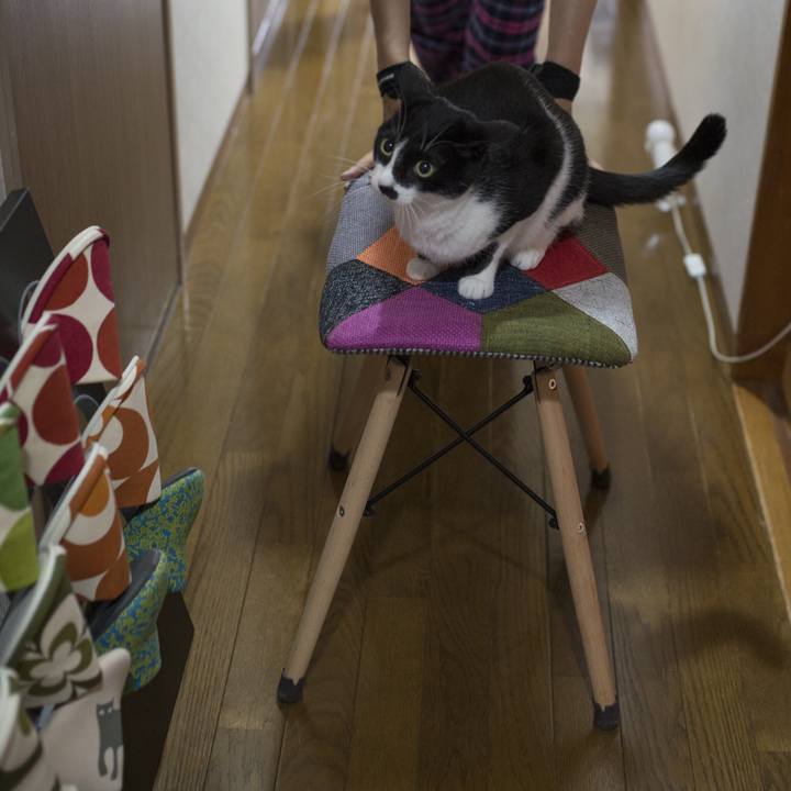 17710bae f665 44c6 bdf1 8606e5d3a9fa 1527471356141