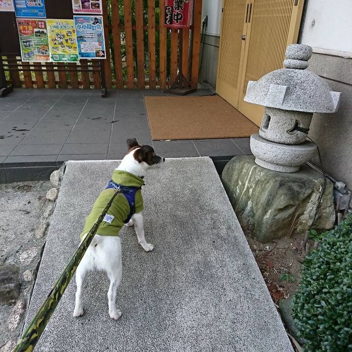 17714774 3151 4328 b66f 5be7c1202338 1518331908514