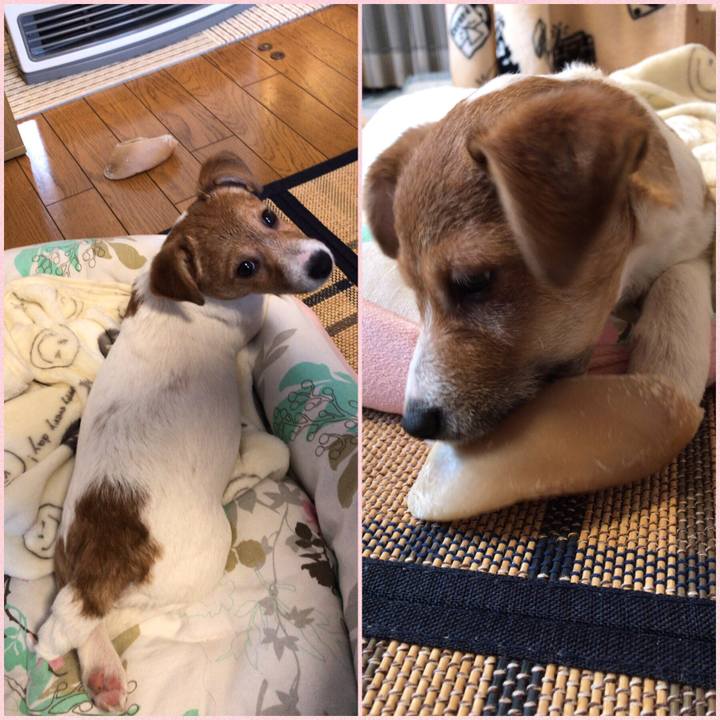 177151f4 1525 4b71 98a0 83057c62a816 1546742348829