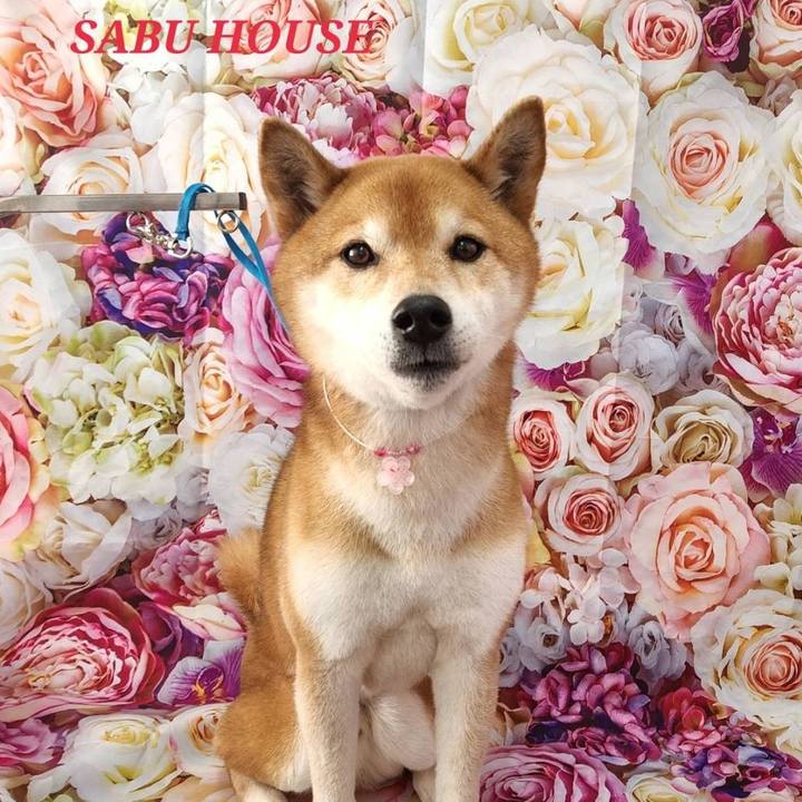 1771f49d a0e4 49e7 ba86 ae0939fa151c 1710326740484