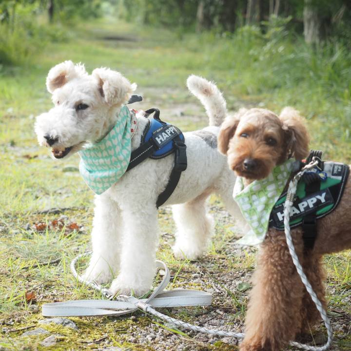 1771f8f9 e4c3 4f0b b633 0442591b14da 1566005169826