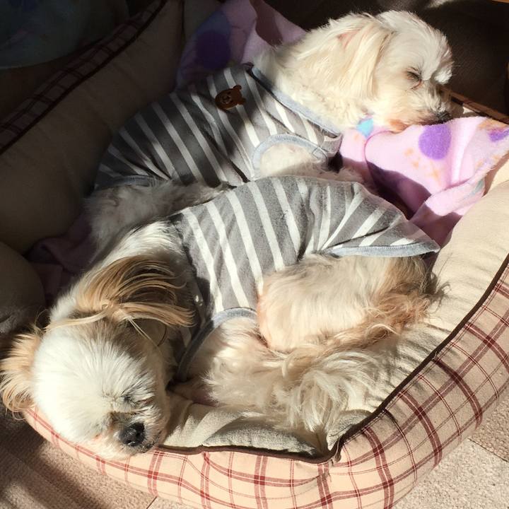 17720a8d 923c 410f b5f8 88e3756acc1e 1641007728564