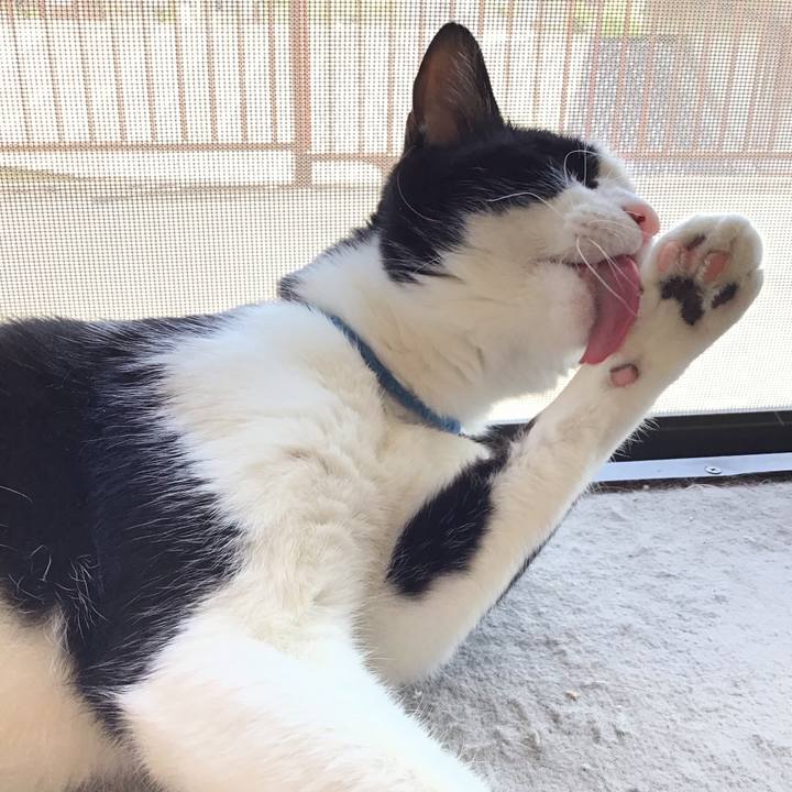 17723a83 98fe 4298 a50c 86941098342b 1714893712852