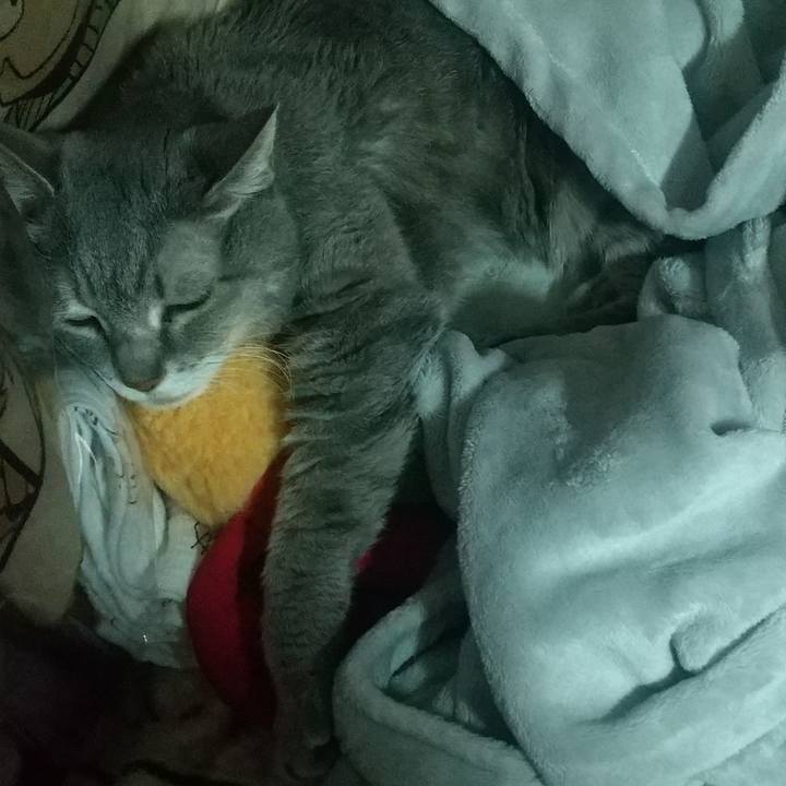 177279fb 2c64 4973 8bfe 9ca6f75ab6dd 1697232881552