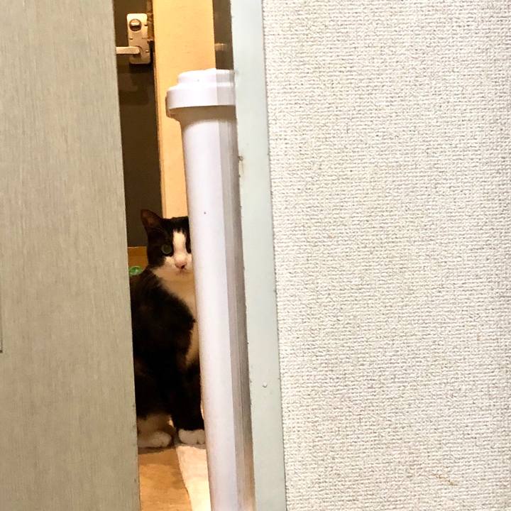 1772838e 981b 4987 a9dd c23bdfc5f6a4 1555202489219