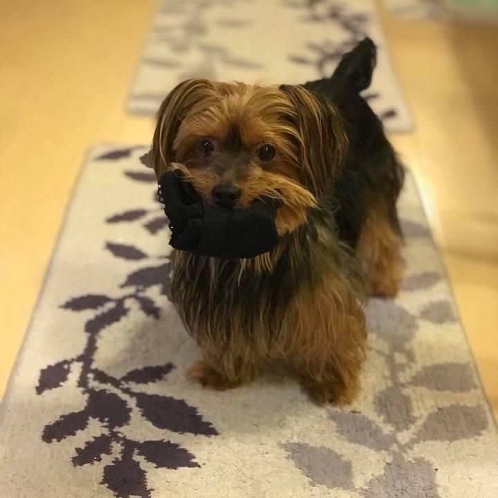 17728651 c2b8 4dfe ac82 2fe144688483 1531391309926