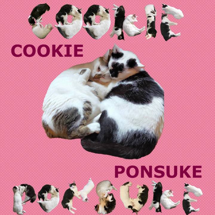 17729be4 384d 4b97 ac7f 5b42c8c667f9 1667797940162