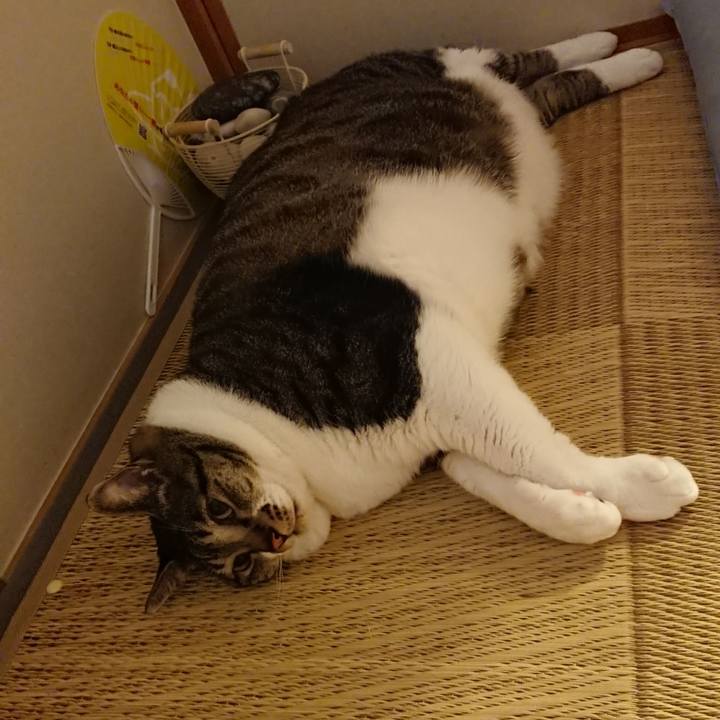 1772ecb0 08f5 4abe 863d 2ff758cb951b 1535636636389