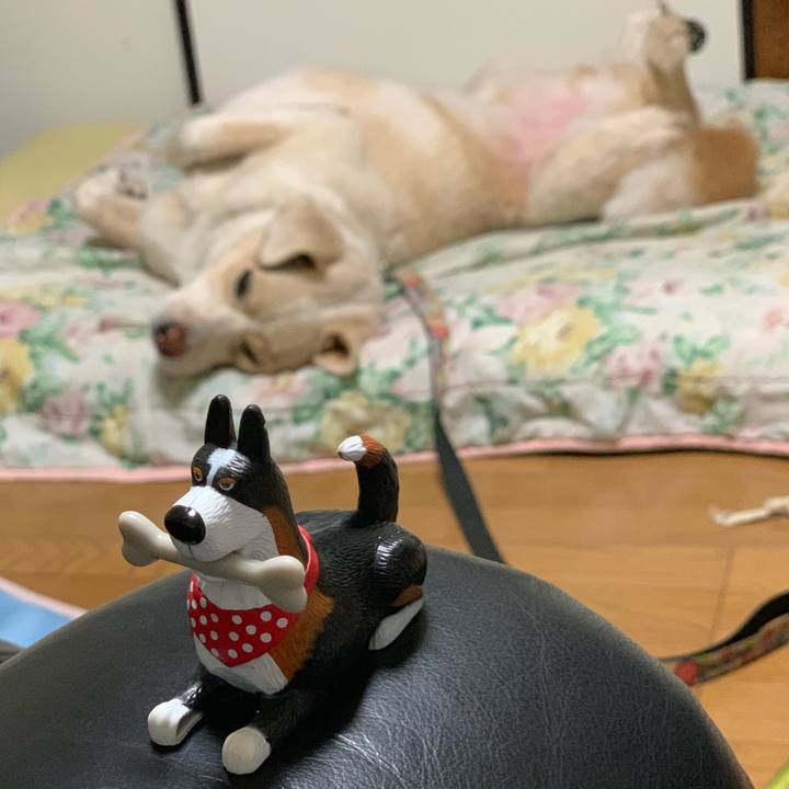 1772f283 8aa2 4410 8cd2 1cf25fcc9f8c 1565871005709