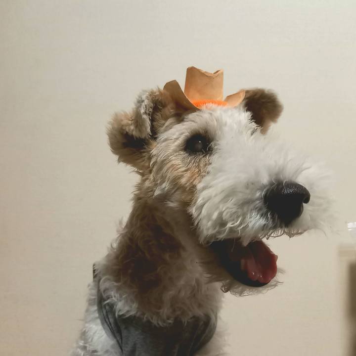 177310e7 0d94 45aa 9e4e 04392130a6fd 1605877889641