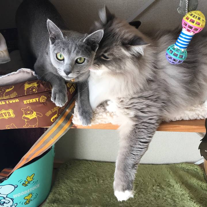 17731690 b0b5 4569 9d3b 7a745167dc59 1520251831030