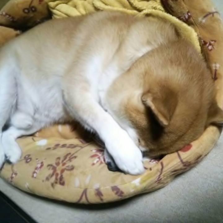 17734a45 e795 46ec 9be0 e4b9f2e2e26f 1572864590723