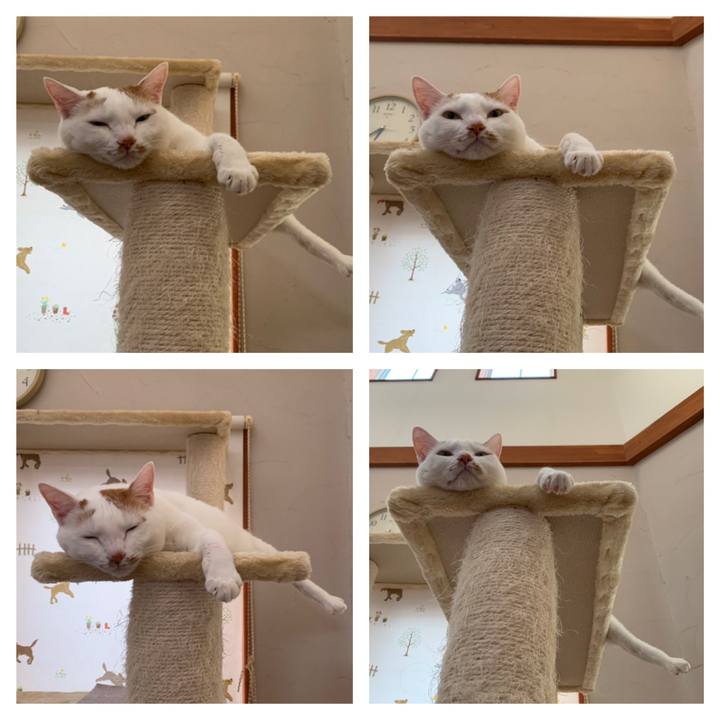 177369d4 8f44 4de6 a9e4 dbb59d81f9a7 1648158051353