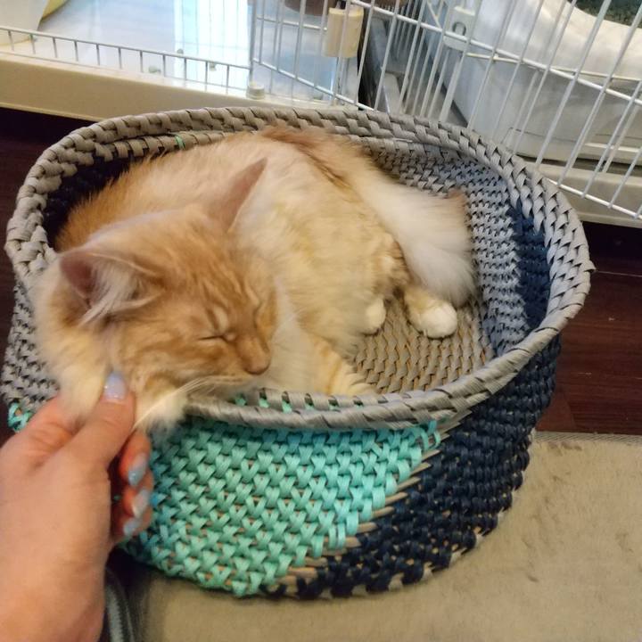 1773866b 7785 4d23 88a1 f35bef3cf9b4 1628240905324