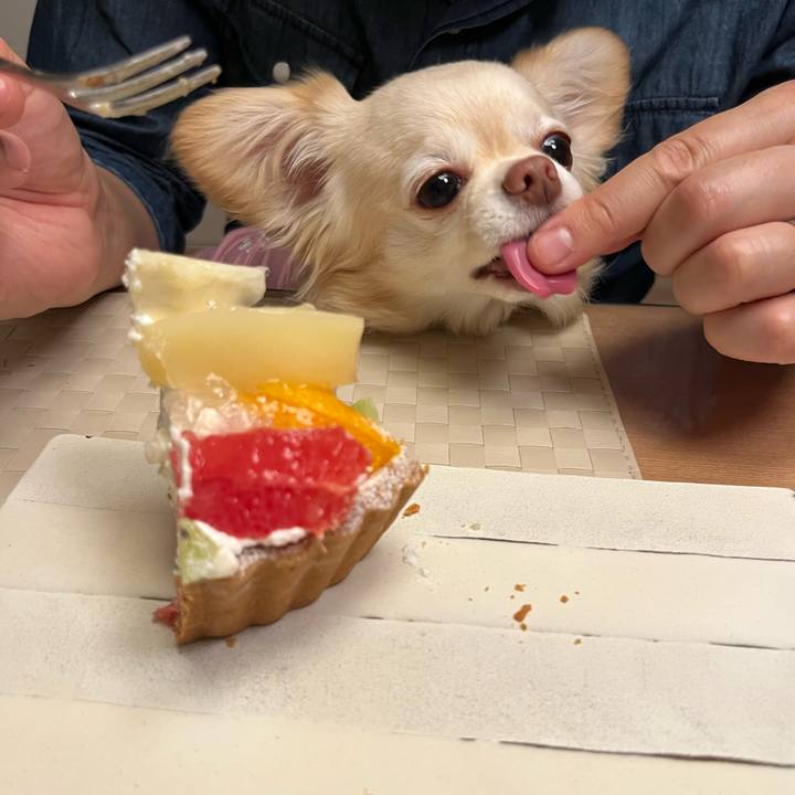 1773c66f 60ed 46fa b1d7 fd38df667f80 1749561939196