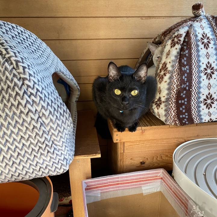 1773c83b af8c 4d1f 99e1 7c7b83246ae0 1637194725795