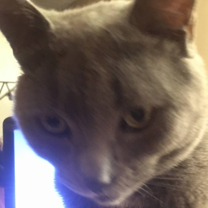 17745929 152e 49ce 8023 3d7523b80867 1618620296495