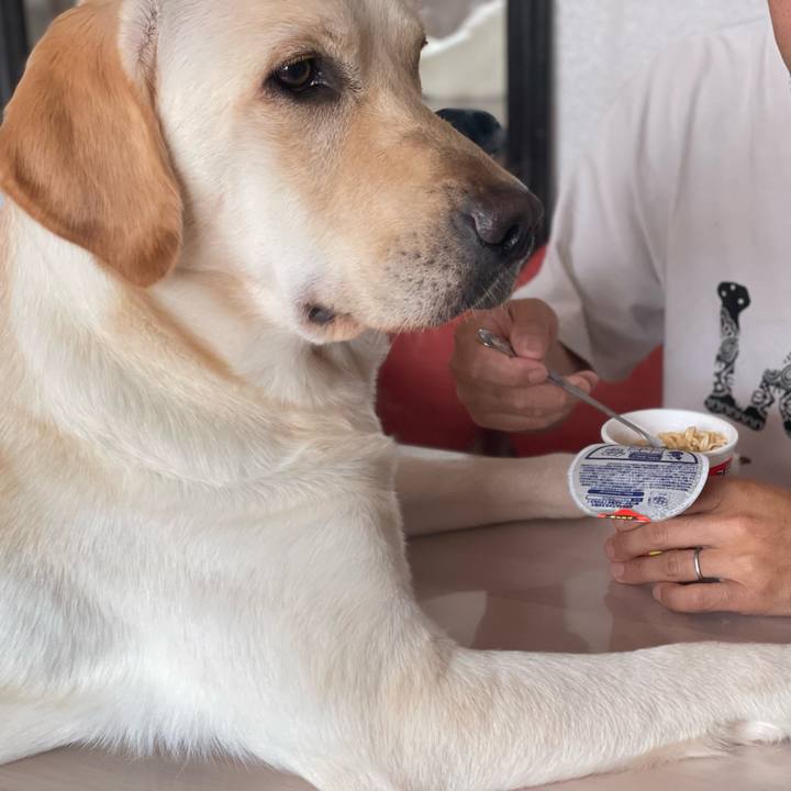 177471fc d2e7 4212 936b 505e76d926c1 1655000724010