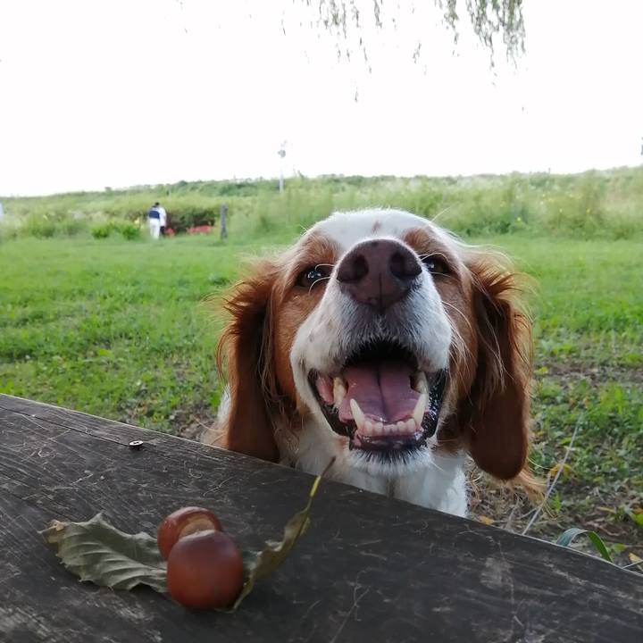 1774769b e0b1 4f18 9b71 2a42725afdc0 1632397410099