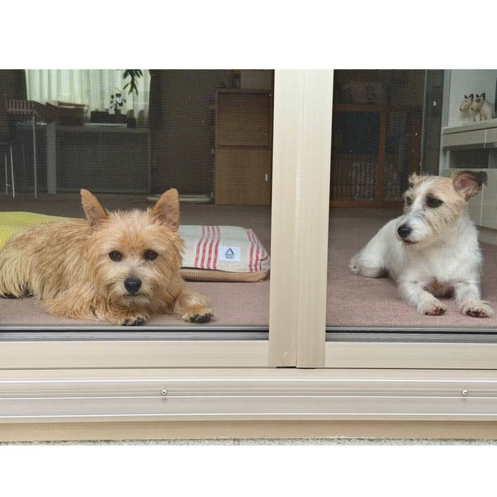 17748854 8469 423f 84c5 7c7a83b5c980 1760868459860