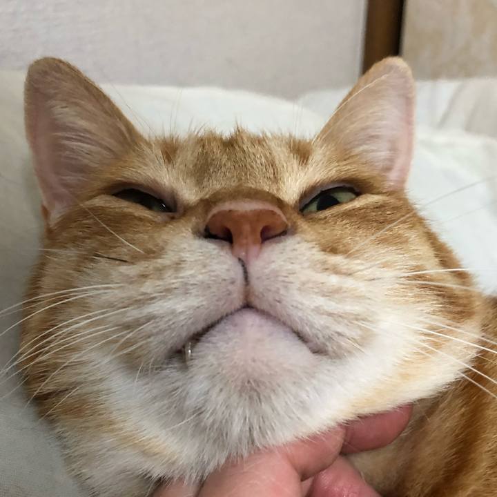 1774b837 7be5 46f5 8225 54a8204f3c04 1634988481013