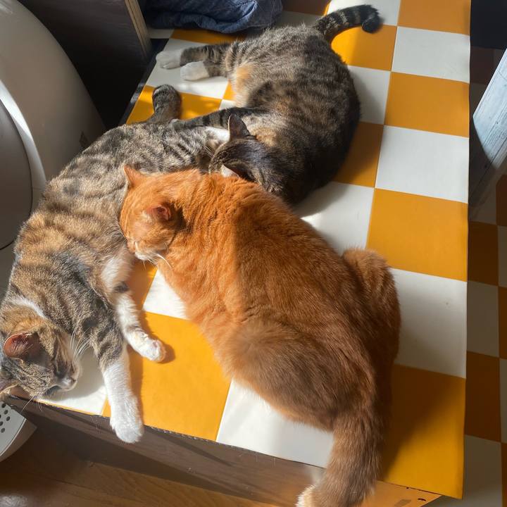 1774baa8 b136 4256 a53b fa9b4176e709 1696729975842