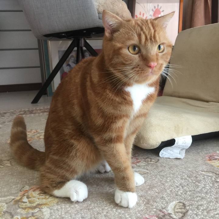 1774dec3 3837 4a0a 8492 ca41591067c2 1533354143918