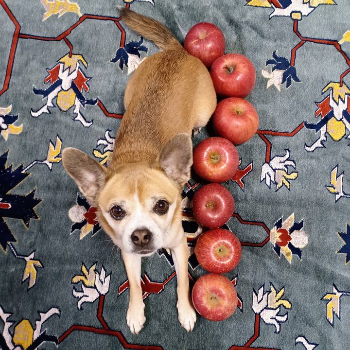 17750660 843b 4658 b998 c4f6db30db64 1669670768175