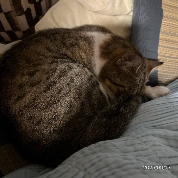 1775076a 6d35 417d 9e98 4ba416a4ce57 1757888964694