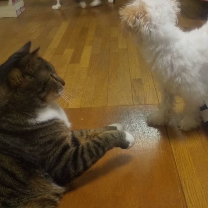 17750888 1e48 48b4 a1e0 dbc2d447414d 1695788446220