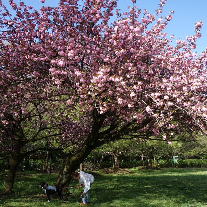 17751183 7288 4268 9308 737256e580ab 1744677267452