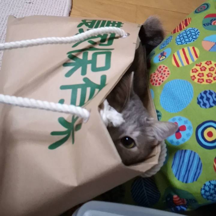 17752839 34b3 4f30 8a5e 7438a84666d6 1556457108861